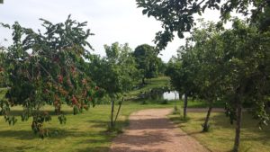 Garden of the restaurant La Ferme de Panivol
